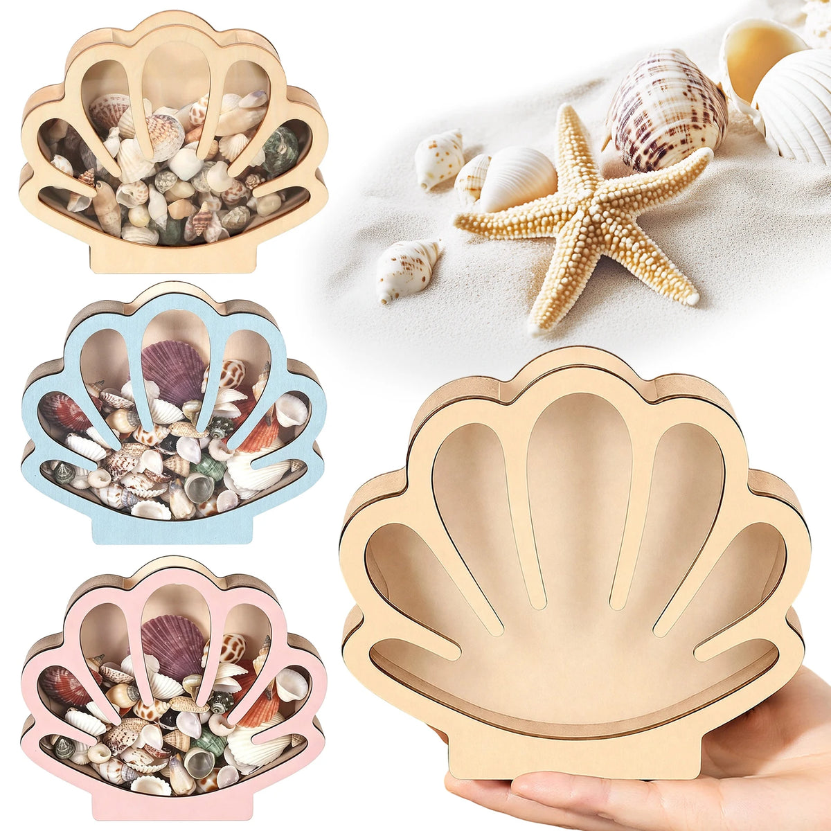 boîte coquillages bois naturel moderne boîte réutilisable coquillage bleu clair rose pâle