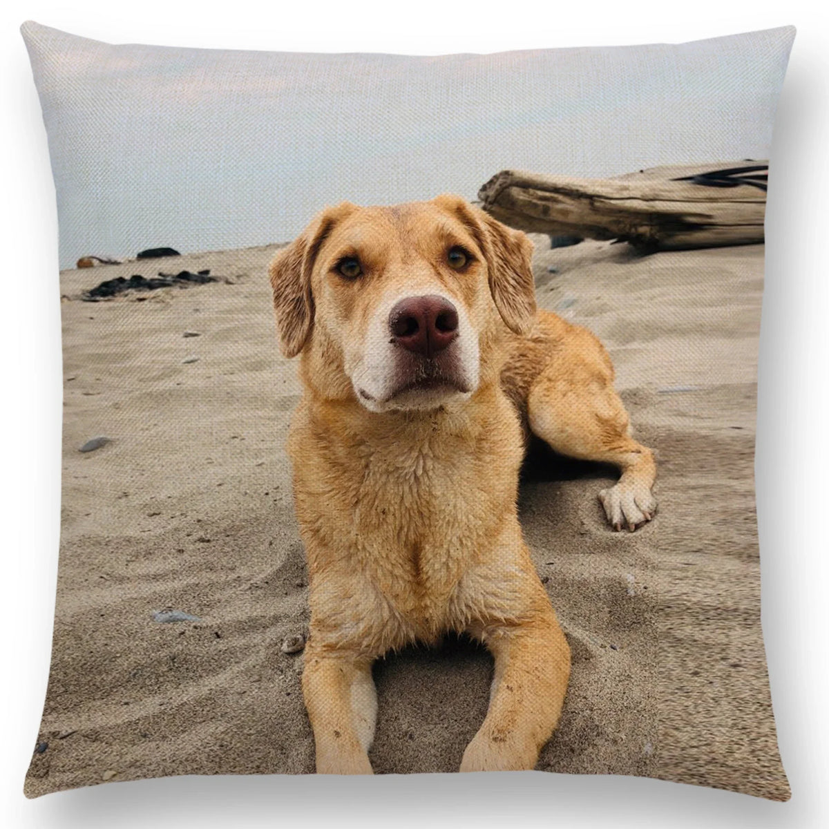 coussin carré coton lin motif imprimé simple décoratif taille 45cm 45cm fixation fermeture glissière