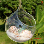 terrarium suspendu verre transparent plante mousse fleur moderne minimaliste