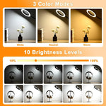 lampe multifonctionnelle loupe 10x clip modes couleurs variateur luminosité led noir moderne