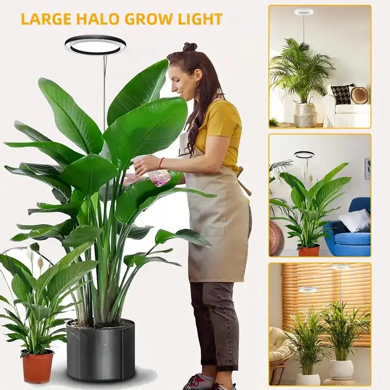 lampe croissance plante led réglable 160cm usb alimentation 7w 35lumière blanc 23jaune 8rouge 4bleu