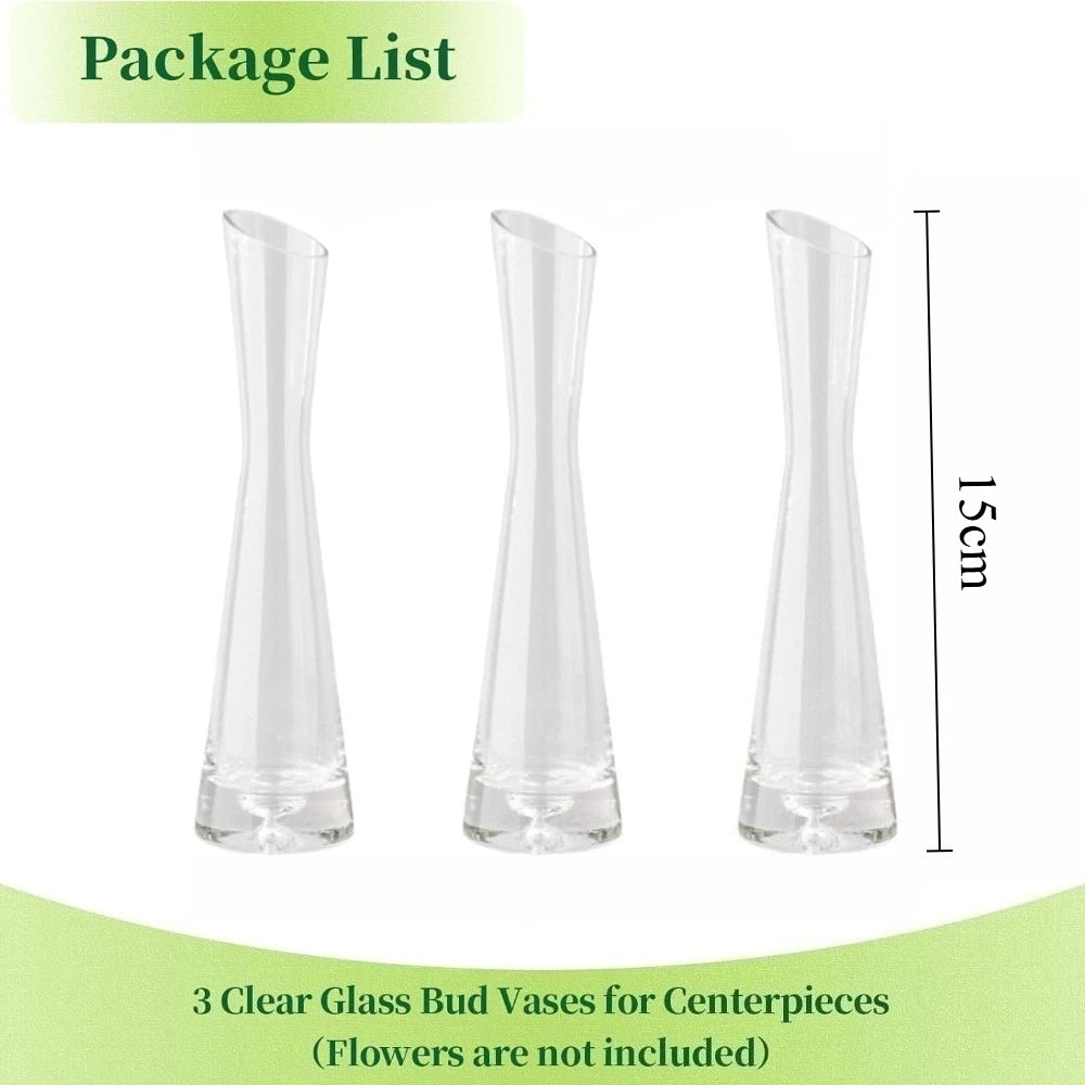 vases verre transparent modernes décoration plantes hydroponiques fleurs artificielles 15cm 20cm 25cm