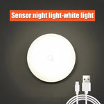 veilleuse nuit led rechargeable mouvement sensorielle adhésive blanche moderne chambre couloir basse consommation lumière