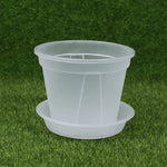 pot fleurs transparent moderne plateau dimension 10cm 12cm 14cm plastique