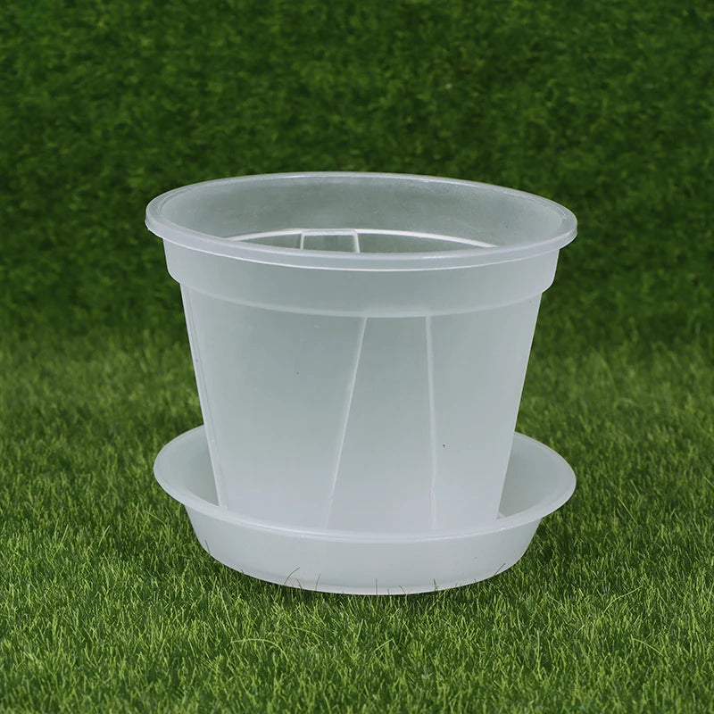 pot fleurs transparent moderne plateau dimension 10cm 12cm 14cm plastique