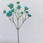 fleurs séchées kit 120 pièces variées blanc bleu orange violet rose rouge vert jaune