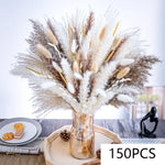 décoration maison bouquet dried flowers naturelles pampas beige rustique vase