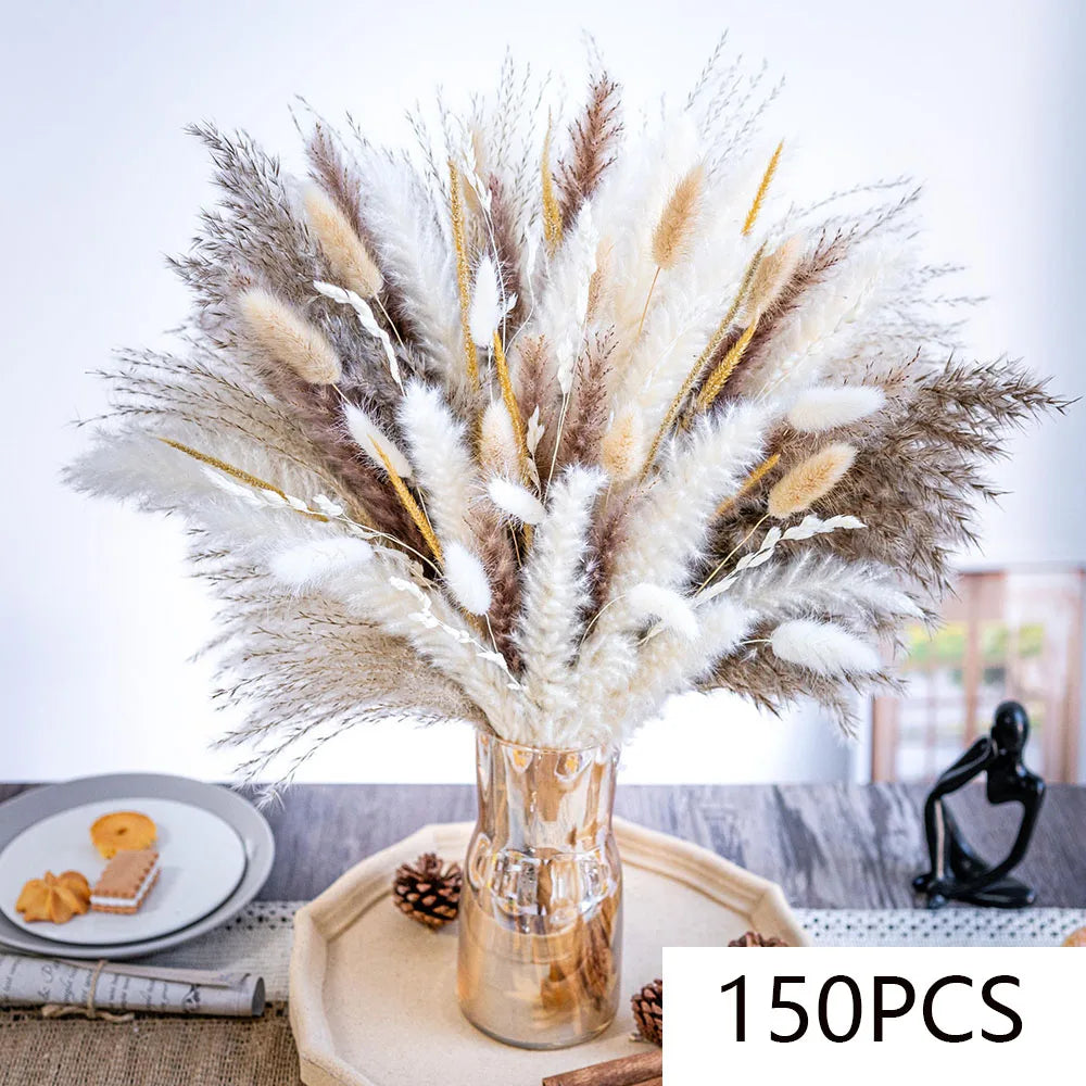 décoration maison bouquet dried flowers naturelles pampas beige rustique vase
