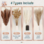 bouquet pampas séchés naturels beige marron blanc décoration boho intérieur événements festifs