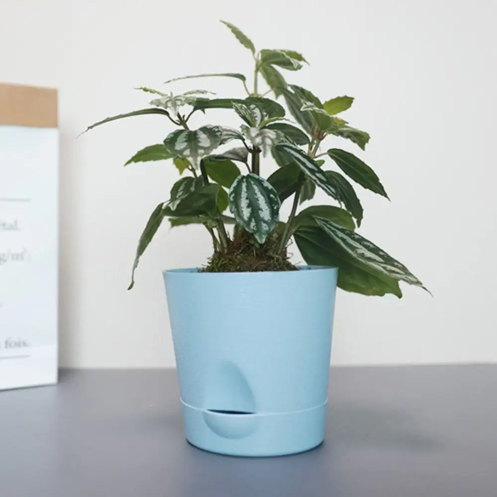 cache pot moderne auto arrosant plastique texture mat couleur bleu rose clairintérieur extérieur
