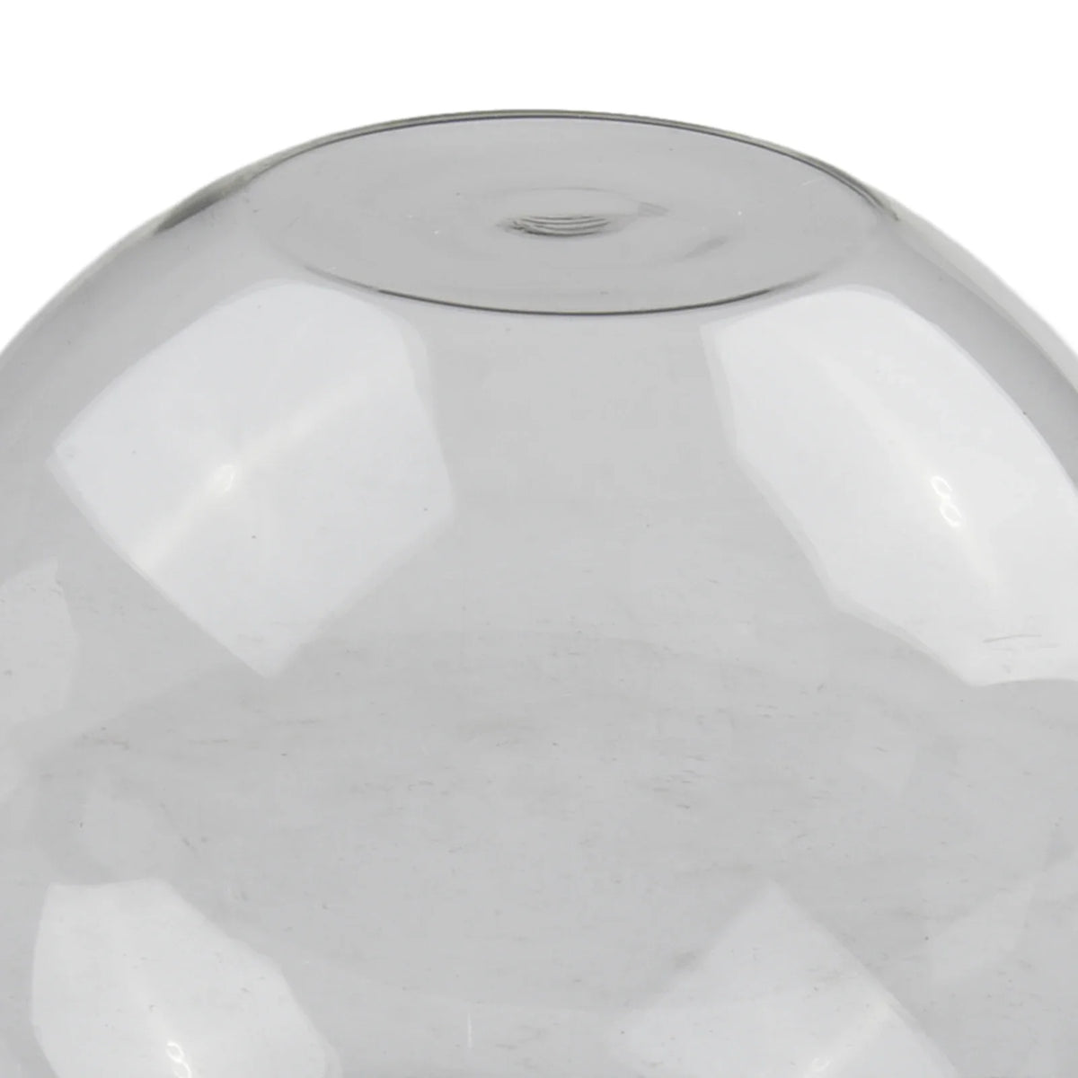 boule verre transparent moderne décoration intérieure élégante minimaliste vase terrarium fleurs succulentes