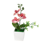 décoration intérieure orchidée artificielle pot blanc fleurs simples feuilles vertes moderne