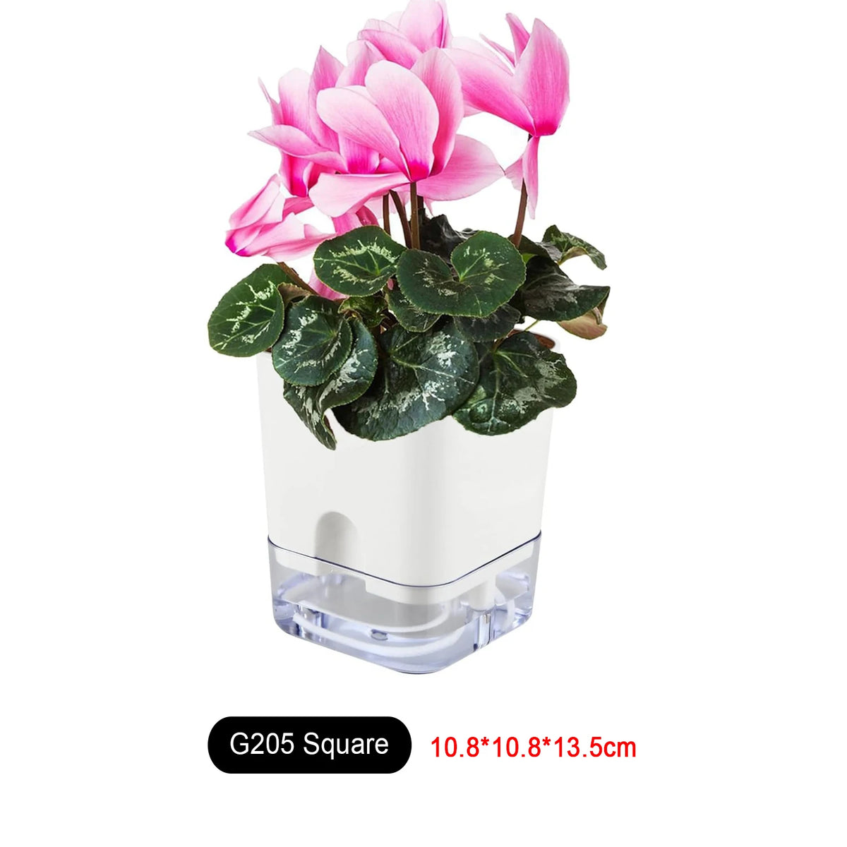 pots plantes auto arrosants blancs moderne grille drainage transparent minimaliste