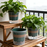 pots fleurs auto arrosants plantes vertes intérieur facile remplissage eau protection racines moderne opaques