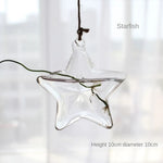 ampoules verre transparentes modernes opalescentes cordelette boutons fixation pot plantes minimaliste