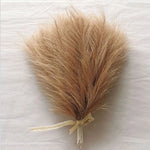 plumes séchées naturelles rustiques modernes beige rose blanc bleu décoration extérieure fête mariage