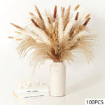 bouquet pampas séchés boho décoration intérieure beige crème marron clair fibres fines ruban vase