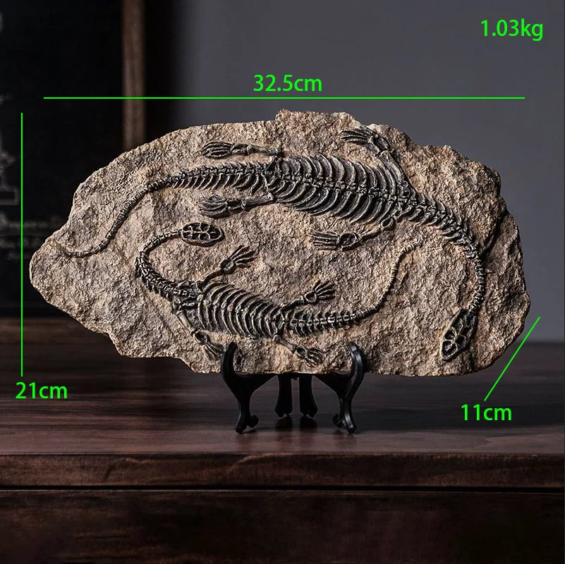 squelette dinosaure résine décor maison salle gris marron clair os roche tringle noire réaliste