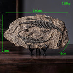 squelette dinosaure résine décor maison salle gris marron clair os roche tringle noire réaliste