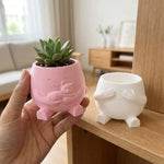 cache pot mignon rose clair blanc cactus succulentes visage souriant chaton cartoon opacité