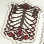 cadre photo squelette humain noir transparent osseux anatomique irregulier plastique erotique gothique erotique erotique