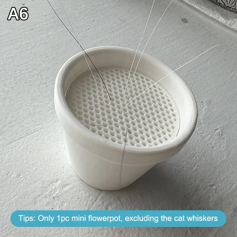 collecteur poils moustaches animaux compagnie pot fleurs support chat décoration collection moderne perforé