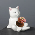 pots céramique porcelaine blanc cactus succulentes manga mignon zenintérieurextérieurvaseglacébrillant