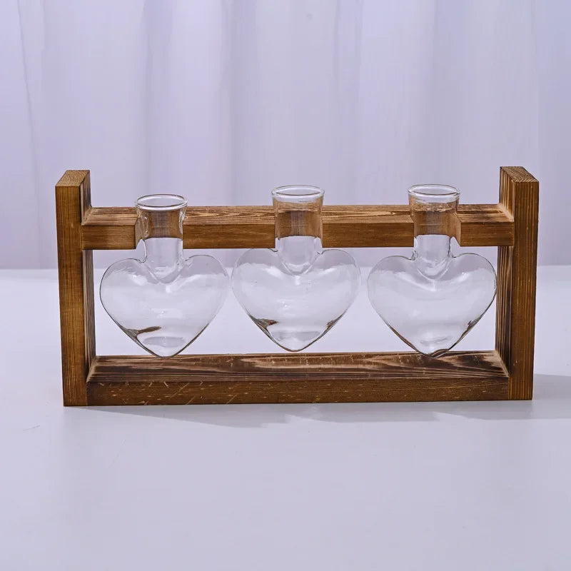 support plante bois vases verre transparent modernes plantes vertes decoration hydroponique minimaliste