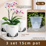 pots orchidées modernes blancs transparents 15cm 12cm 10cm aircone racines rebondissement