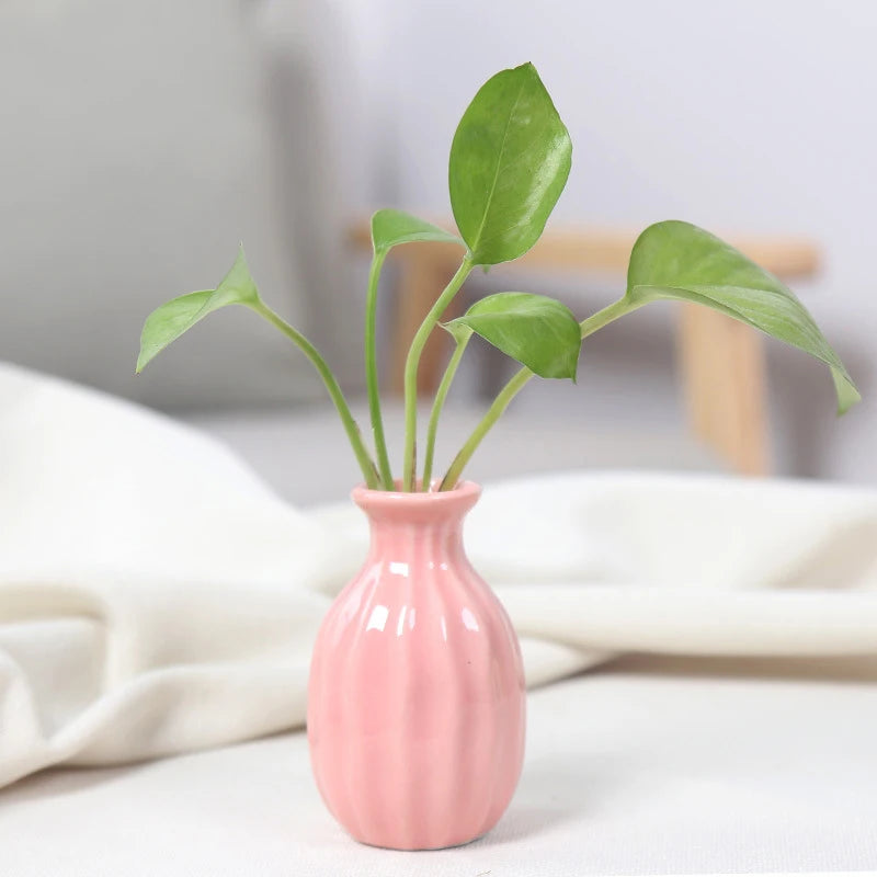 vase céramique moderne rose blanc jaune vert bleu clair ridé opaque