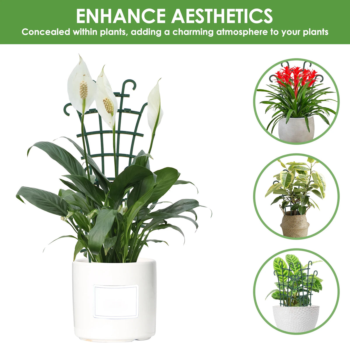 treillis support plantes grimpantes vert foncé structure grille 12 pièces pots fleurs décoration jardin