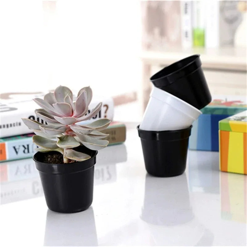 pots semis plastique blanc noir modernes succulentes fleuries jardin drainage minimalistes