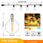 guirlande lumineuse extérieure 65 pieds led dimmable prise e12 g40 globe transparent industrielle vintage