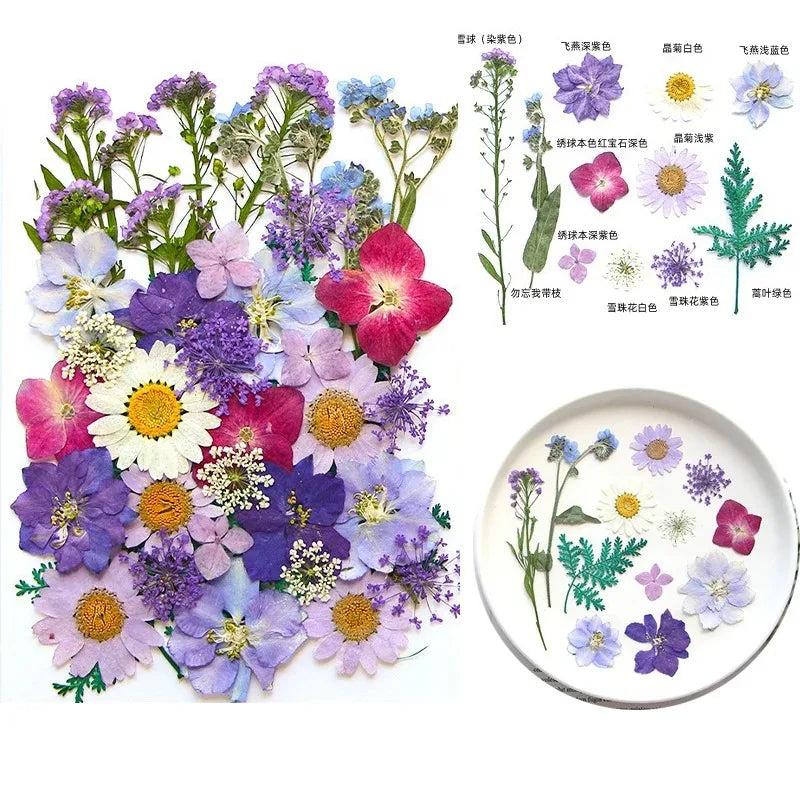 fleurs séchées multicolores variées naturelles scrapbooking décoration maison artisanat DIY