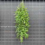 plantes suspendues vigne feuilles vertes rustiques extérieures accrochées naturellement exposéesextérieur decoration