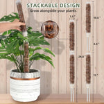 supports plantes pliants adhésifs cordelettes piquets blancs verts modernes intérieur