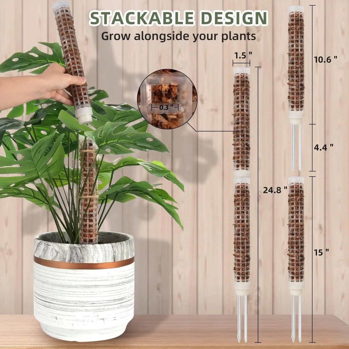 supports plantes pliants adhésifs cordelettes piquets blancs verts modernes intérieur