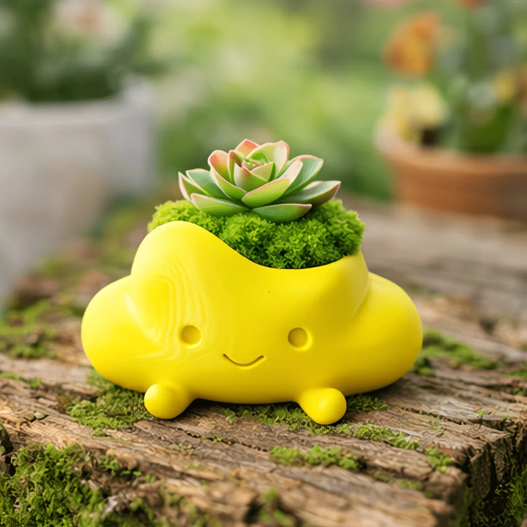 pots fleurs forme nuage souriant couleurs blanc rose jaune mignon cartoon succulente mousse