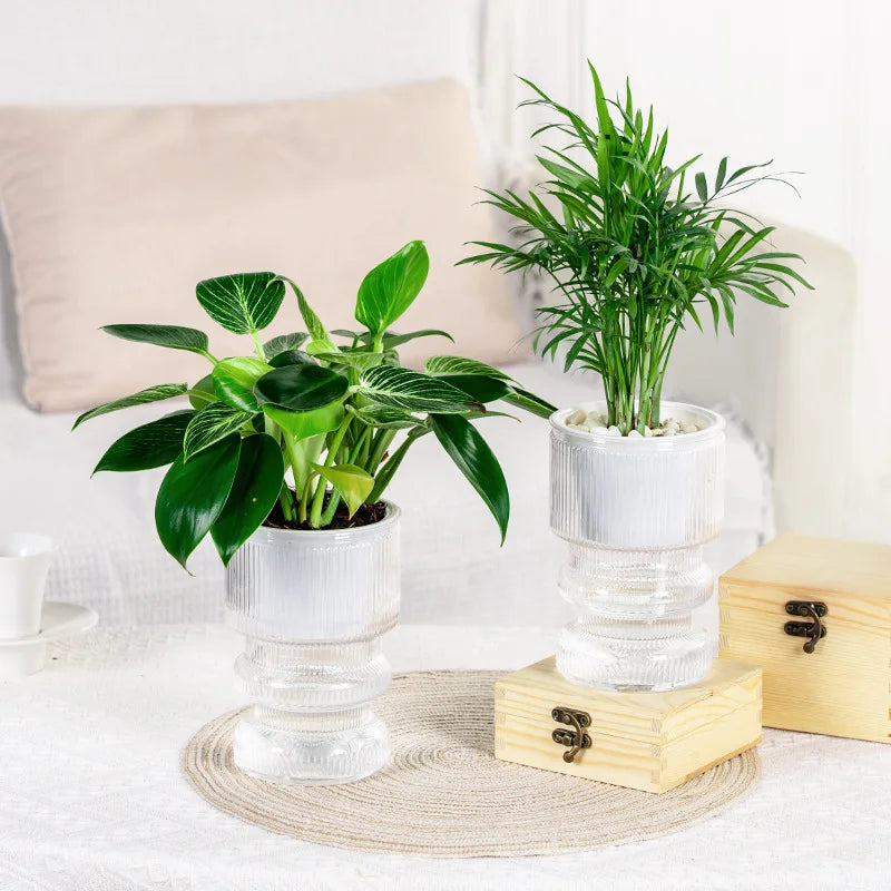 pot fleurs transparent rayures gris blanc moderne hydroponie intérieur succulente