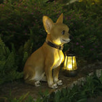 statue chihuahua résine animaux compagnie patio jardin extérieur lumières led lanterne transparente collier boucle
