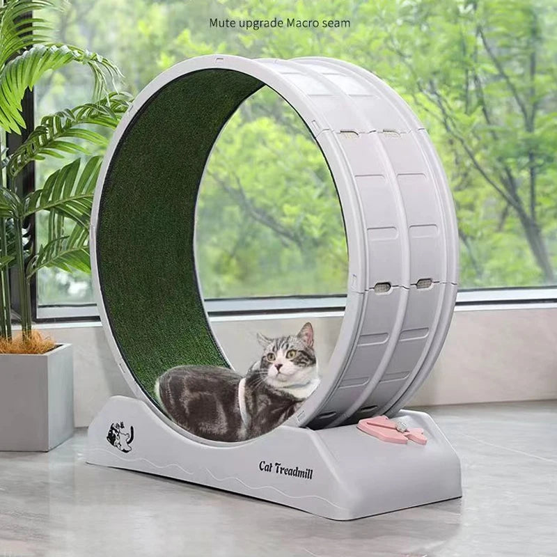 jouet chat tunnel gris vert gazon synthétique moderne stable griffe included split fitness