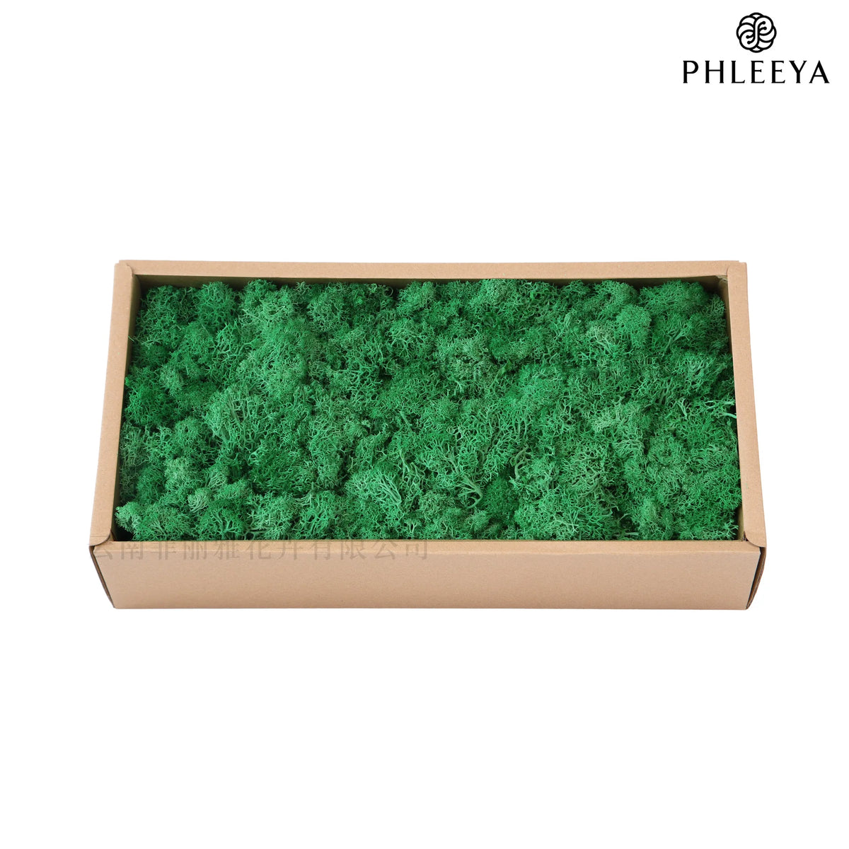 mousse séchée naturelle décorative fleurs séchées rustiques vert rose bleu violet maison intérieur