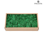 mousse séchée naturelle décorative fleurs séchées rustiques vert rose bleu violet maison intérieur