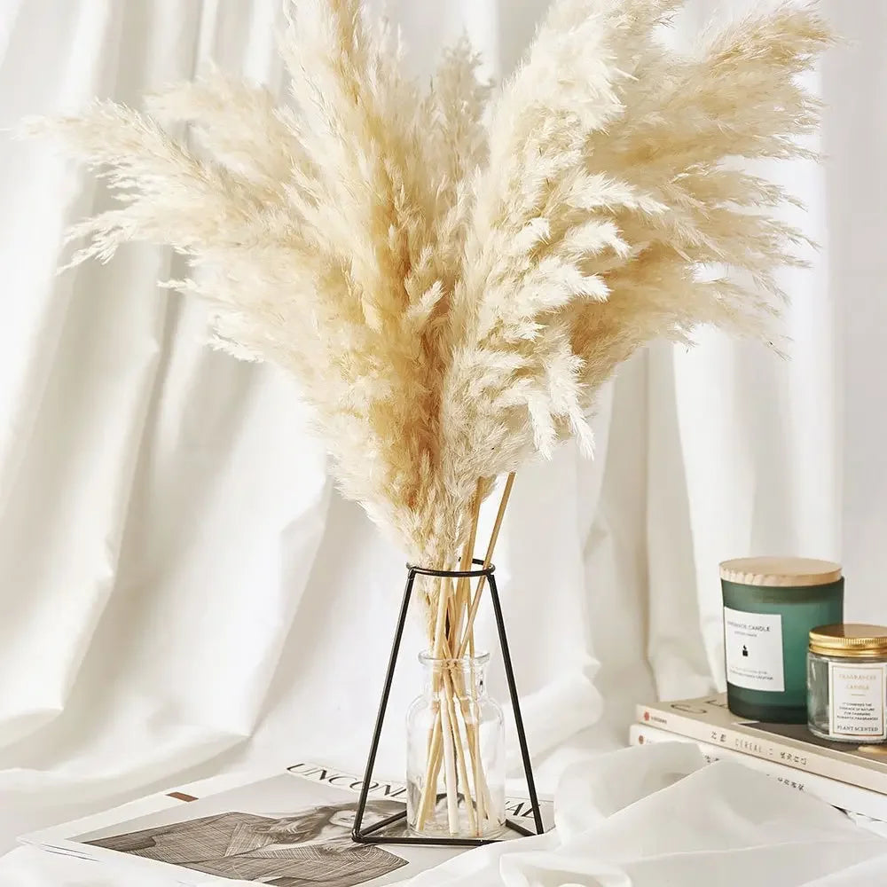 bouquet pampas séché plumes soyeuses naturel rustique décoration intérieure mariage anniversaire bohème 10 pièces