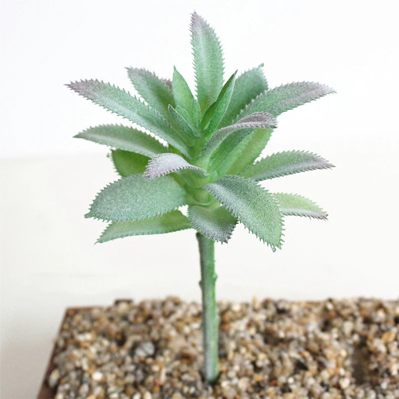 plantes succulentes artificielles cactus agave mini décorations vert blanc moderne minimalisteextérieur exposition