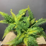 plantes artificielles fougère boston feuilles vertes jaunes decoration exterieure intérieure naturelle réaliste
