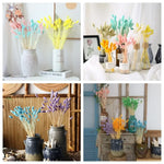 fleurs séchées naturelles bouquet blanc jaune vert rose bleu vases décoration maison mariage anniversaire