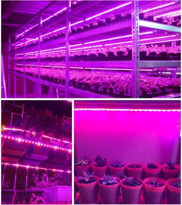 ruban led rose plantes croissance horticole usb serre hydroponique fleurs fleurs fleurs fleurs