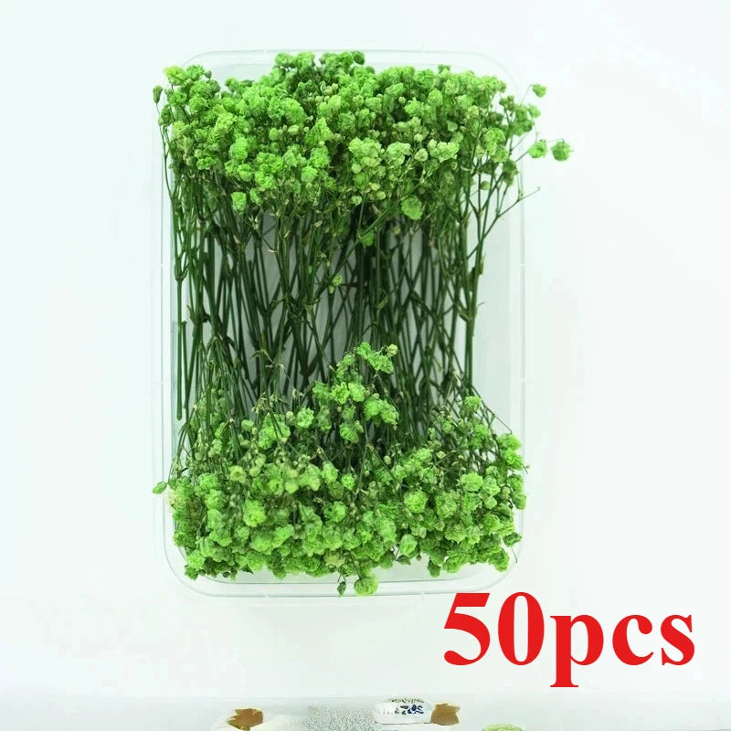 fleurs séchées bouquets multicolore violet orange rouge naturel rustique décoration maison artisanat diysortie