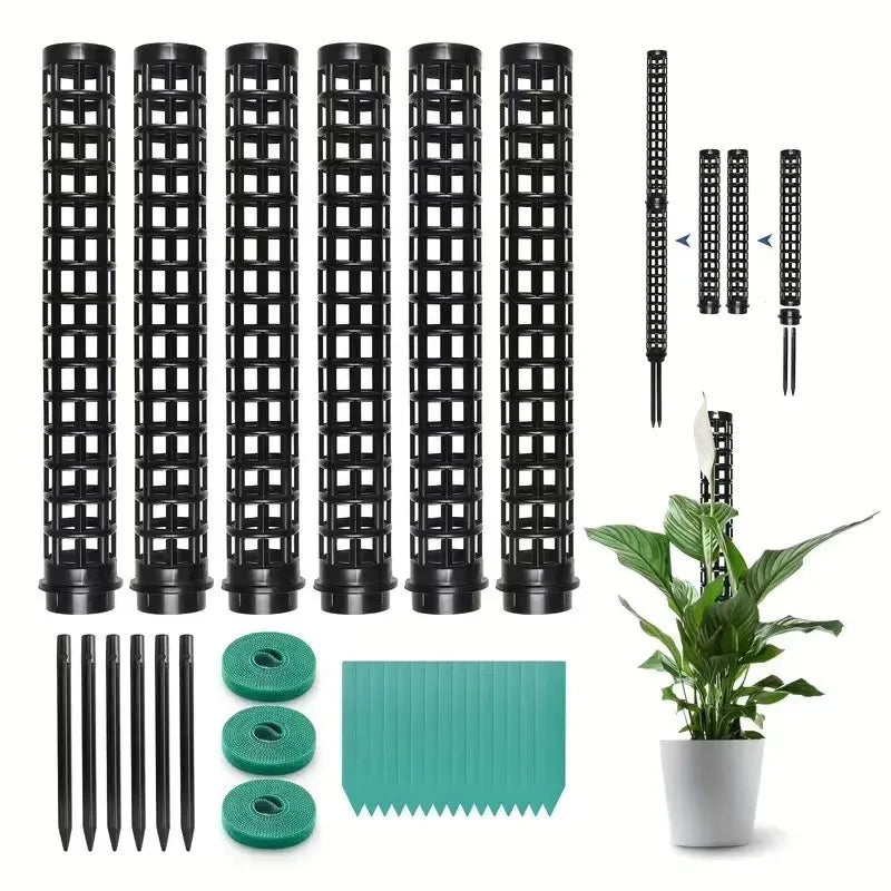 supports plantes pliants adhésifs cordelettes piquets blancs verts modernes intérieur